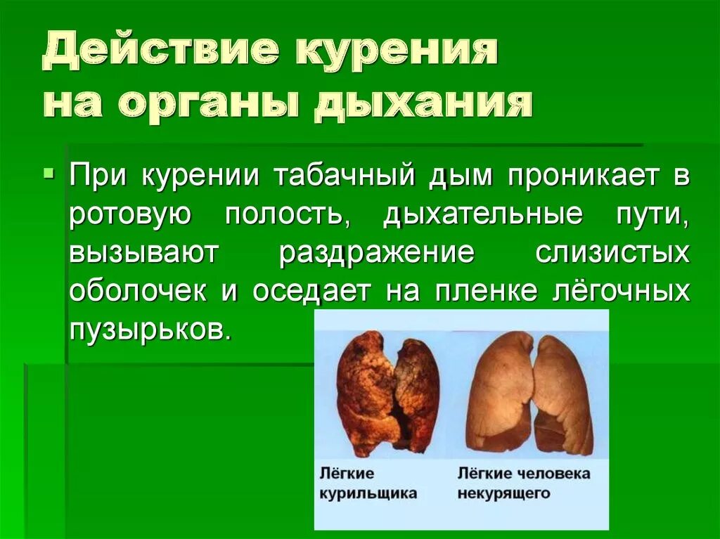 Эффект от курения. Влияние сигарет на дыхательную систему. влияние курения табака на дыхательную систему. влияние табакокурения на органы дыхания. влияние сигарет на легкие.