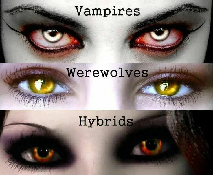 Глаза гибрида вампира и оборотня. Глаза вампира. Взгляд вампира, оборотня и гибрида. Помесь вампира и оборотня.