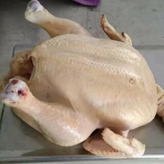 Продам тушки