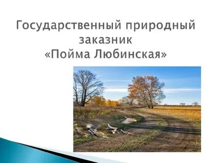 1 1 государственный природный заказник