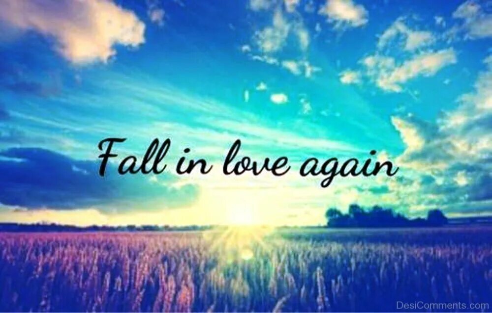 Love again. In Love again. Falling in Love again. Fall in Love. We will love again