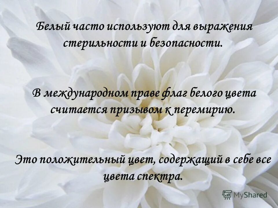 Белое время общее. Белый цвет значение. Что означает белый цвет. Белый цвет в психологии. Белый цвет в психологии женщины.