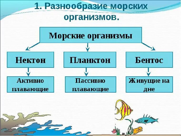 Ответы Mail.ru: Почему живой мир мирогово океана разнообразен?