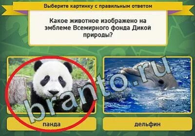 Какое животное служит эмблемой всемирного фонда дикой