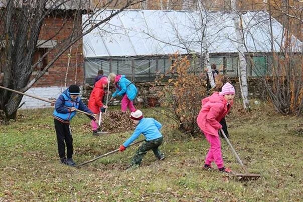 Весенние работы человека. Уборка территории весной. Уборка огорода. Уборка в саду весной. Уборка на даче весной.