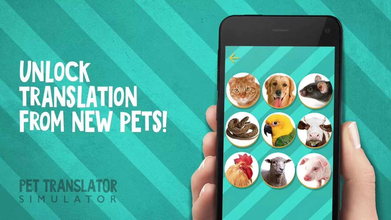 Переводчик pet. Pet Translate. Animal Translator.