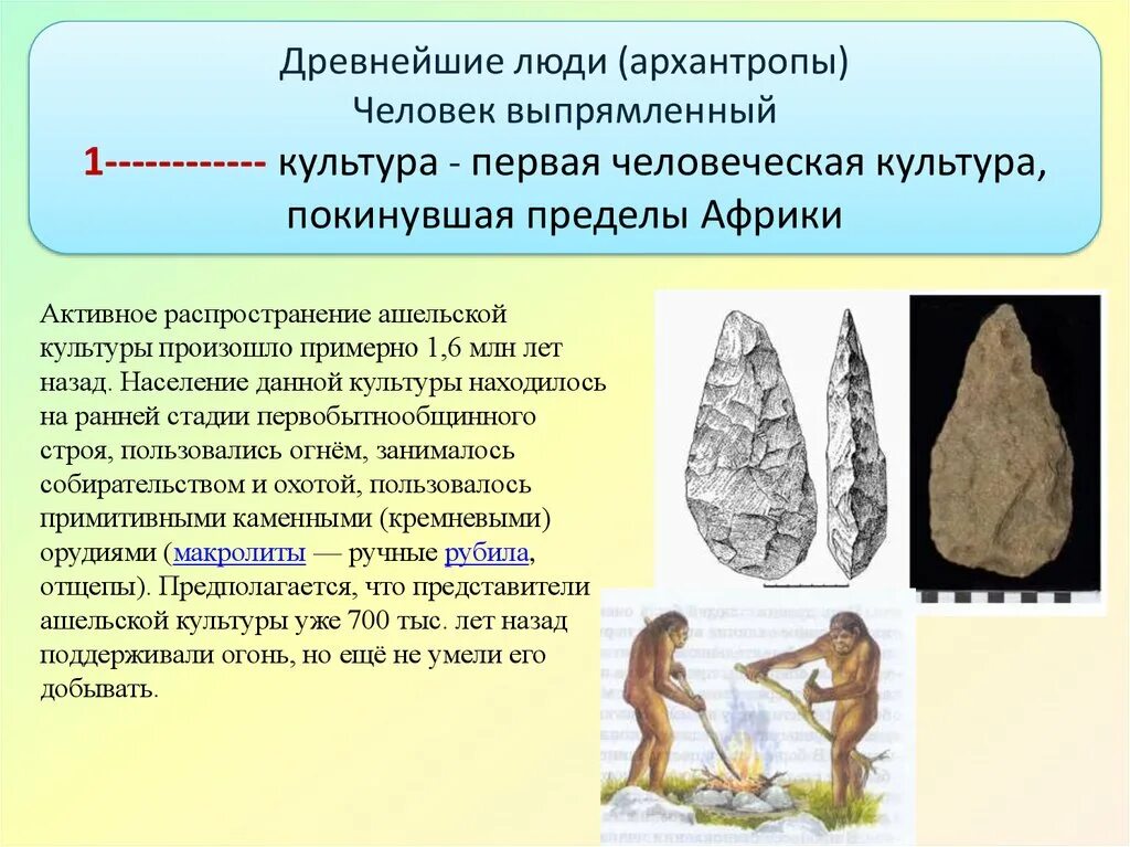 Древнейшие люди архантропы орудия труда. Архантропы культура. Орудия труда древних людей архантропы. Древнейшие люди архантропы.