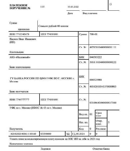 Статус плательщика ип страховые. Поля 101 и 109 в платежном поручении. Платежное поручение страховые взносы. Страховые взносы ИП 2022. Пример платежки страховые взносы ИП.