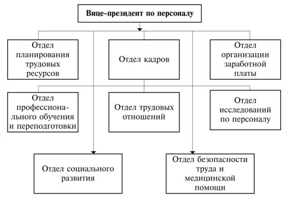 Структура отдела персонала. Структура отдела кадров организации. Структура отдела кадров на предприятии. Структура службы управления персоналом организации. Организация планового отдела