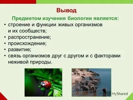 Методы исследования в биологии таблица примеры Таблица по биологии 10
