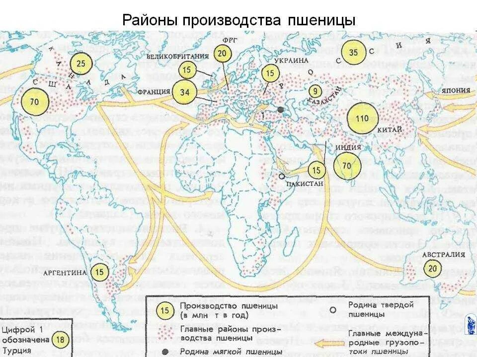 Регионы выращивания пшеницы. Основные районы производства пшеницы. производство пшеницы в мире карта. основные районы выращивания пшеницы кукурузы риса в мире. главные районы выращивания пшеницы.