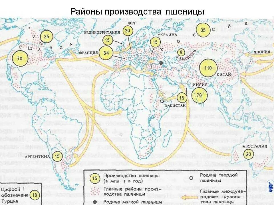 Крупнейшие производители сахарного тростника. Основные районы производства пшеницы. Производство пшеницы в мире карта. Основные районы выращивания пшеницы кукурузы риса в мире. Главные районы выращивания пшеницы.