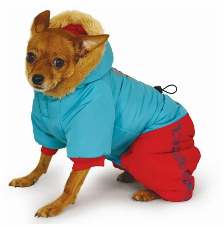 одежда для собак красноярск. комбинезоны для больших собак formydogs. Formydogs дождевик для крупных собак. одежда для собак красноярск. одежда для маленьких собак.