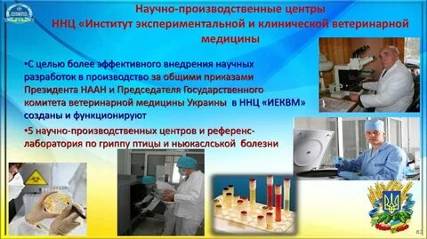 Экспериментальный клинический журнал