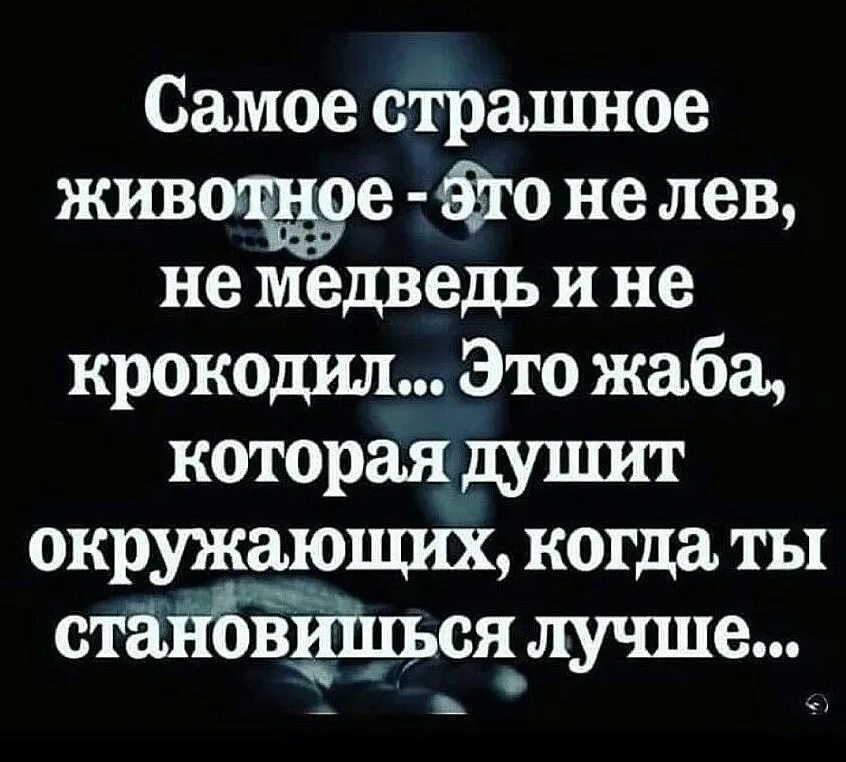 Когда окружающие сильно окружают. Цитаты про жабу которая душит. Жаба душит. Самый страшный зверь это человек цитаты. Фраза жаба душит.