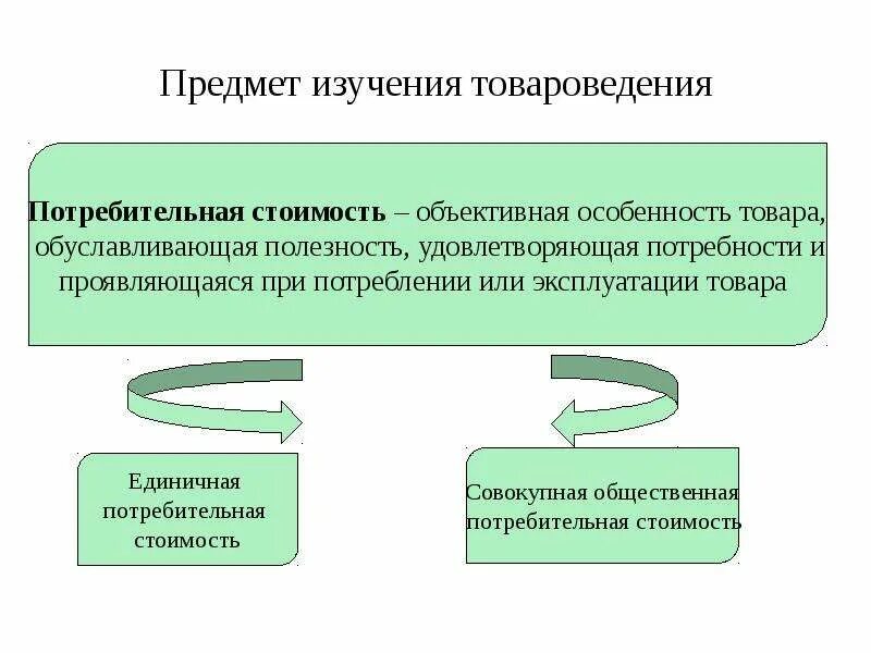 Какие предметы он изучает