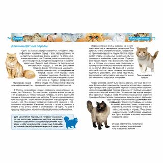 Детская энциклопедия кошки