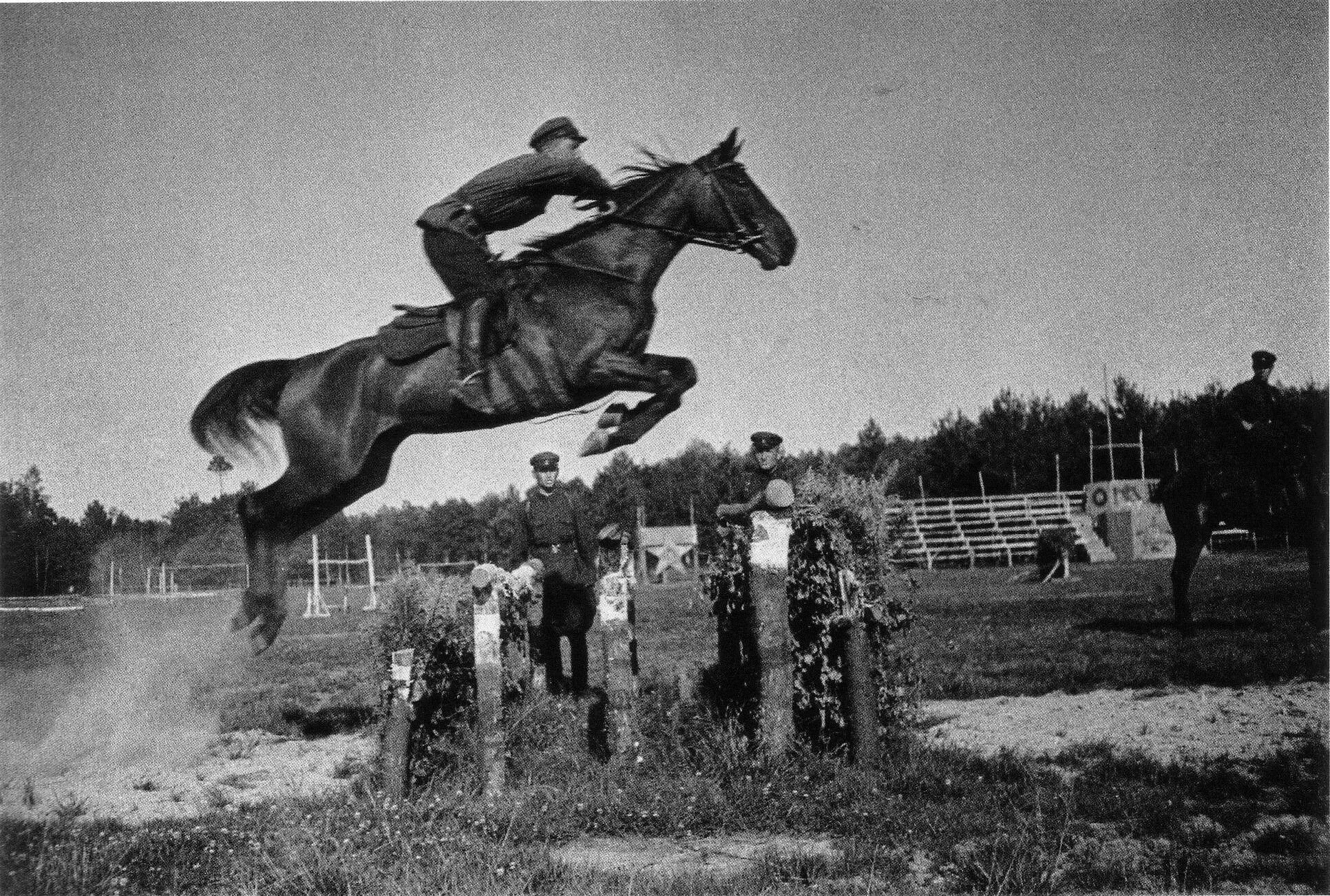 Минский ипподром 1946. Конный спорт в СССР. Лошадь в прыжке. Конюшня СССР.