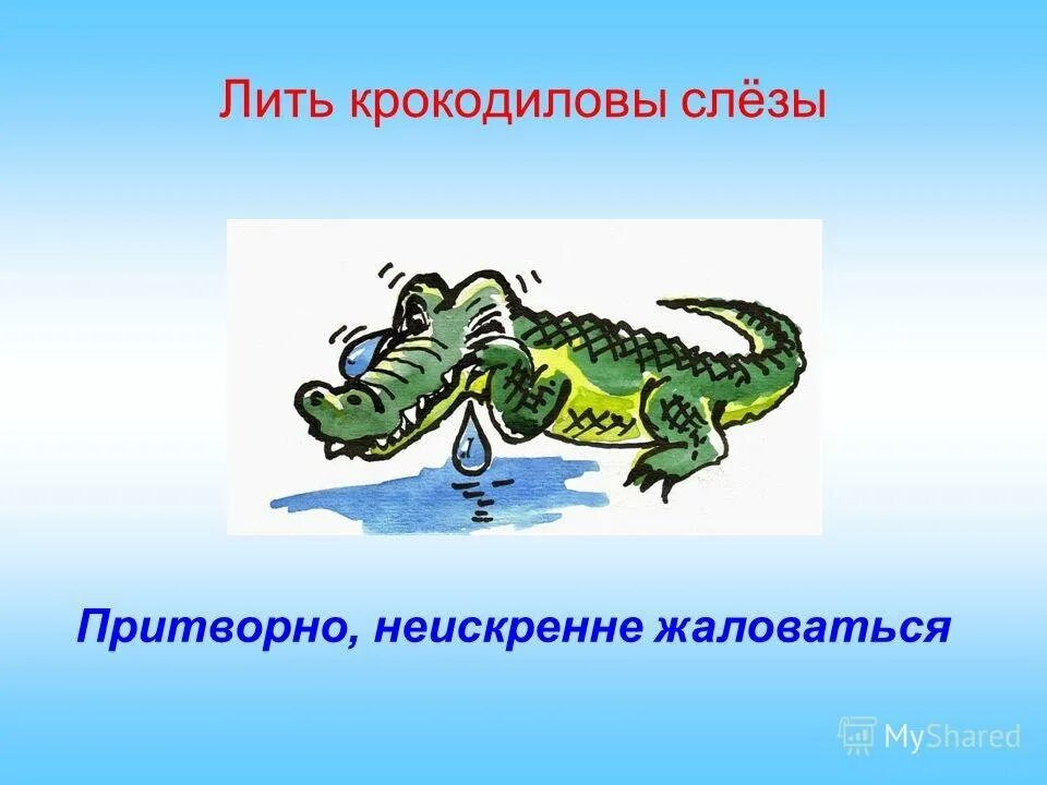 Лить Крокодиловы слезы. Фразеологизмы про крокодила. Фразеологизм Крокодиловы слезы. Крокодильи слезы значение.