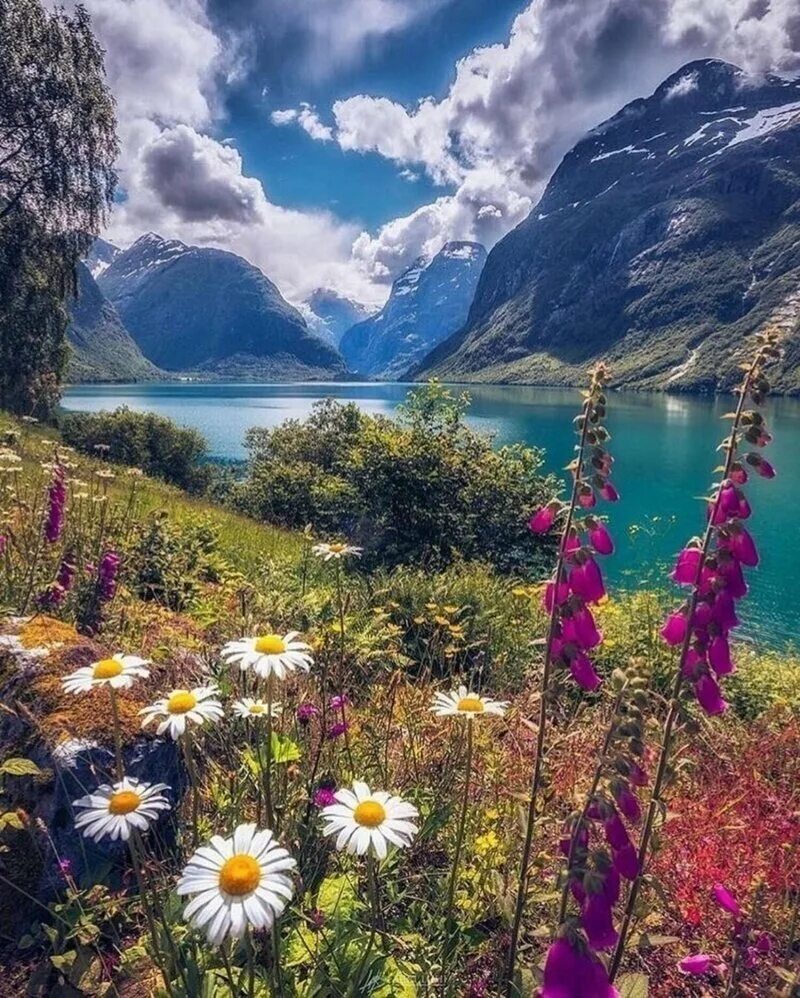 Красивые прекрасные картинки. Озеро Lovatnet Норвегия. Швейцария фьорды. Красивый пейзаж. Красота природы.