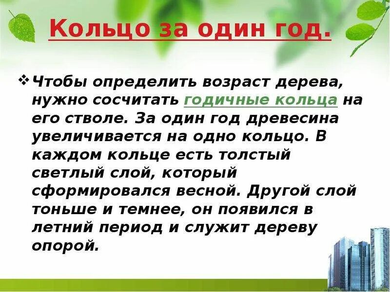 Определить возраст книги. Определение возраста дерева. Определение возраста дерева по спилу. Определить Возраст дерева. Лабораторная работа определение возраста дерева по спилу.