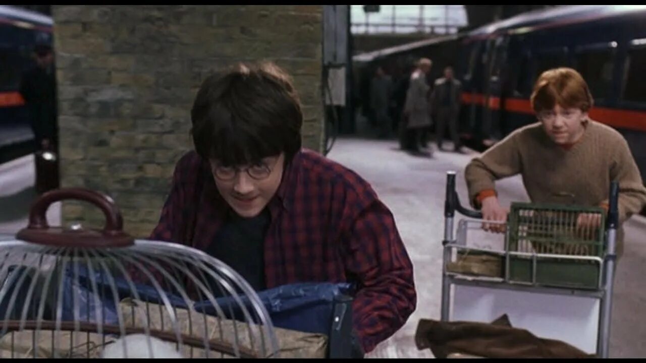 Поттер сбежал. Поттер сбежал. Поттер сбежал. Поттер сбежал. Поттер сбежал.