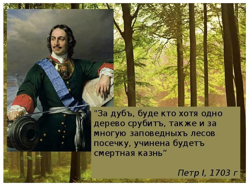 Указ Петра 1 о лесах. 1703 год указ