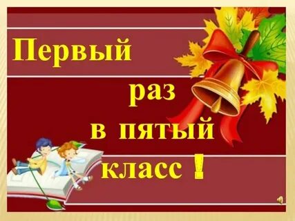 5 класс 8 сентября