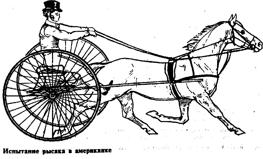 Древнее передвижения. Телеги с лошадьми в древности. Первое средство передвижения. Конная колесница. Американка повозка.