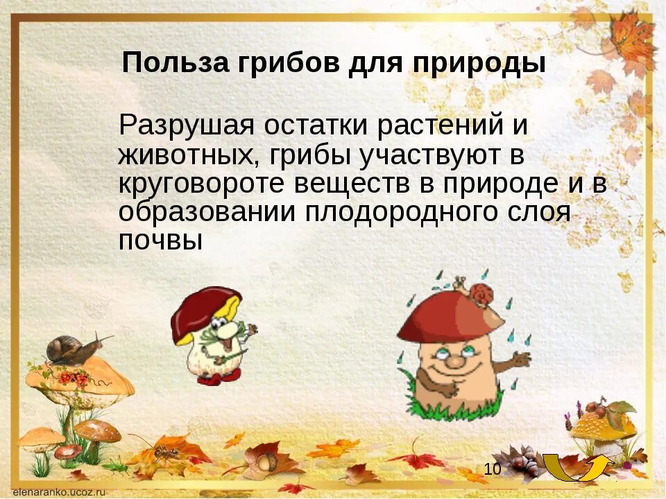 Польза есть грибы. Грибы презентация. Презентация по грибам. Доклад на тему грибы. Презентация про грибы 2 класс.