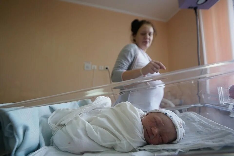 12 родом