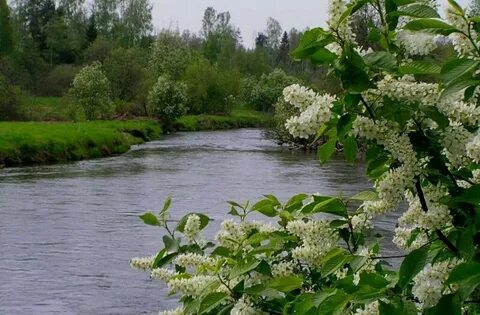 Вода май