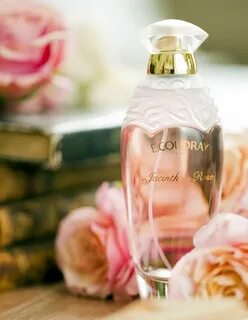 Rose fragrance