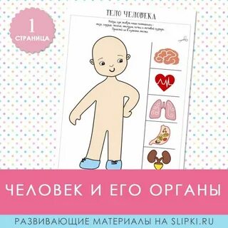 Аппликация строение человека