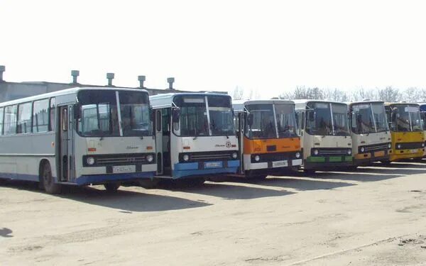 Автобусы железногорск курская область курск. Икарус 216. Автобусы железногорск курская область курск. Автобусы железногорск курская область курск. Икарус железногорск.