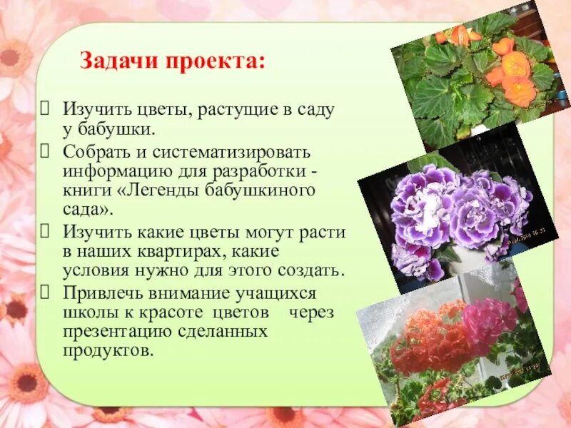 Язык цветов проект