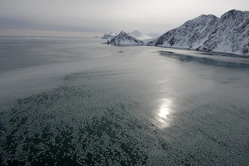халактырский пляж, камчатский край. халактырский пляж камчатка рассвет. петропавловск-камчатский тихий океан. петропавловск-камчатский халактырский пляж. петропавловск-камчатский халактырский пляж.
