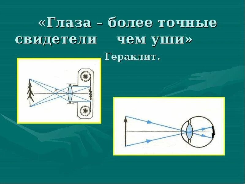 Глаза оптический прибор. Геометрическая оптика и интерференция света. Глаз человека как оптический прибор. Оптическая система геометрическая оптика. Глаз как оптический прибор.