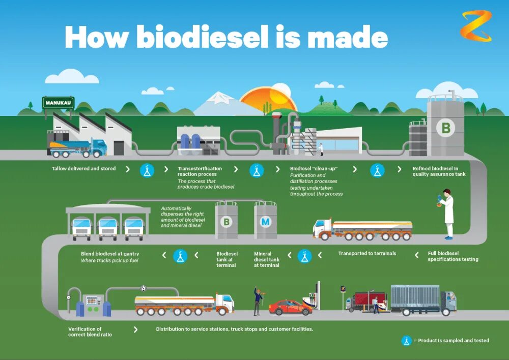 How was make. Биодизель. how biofuel is made. схема производства биодизеля. биодизель картинки.
