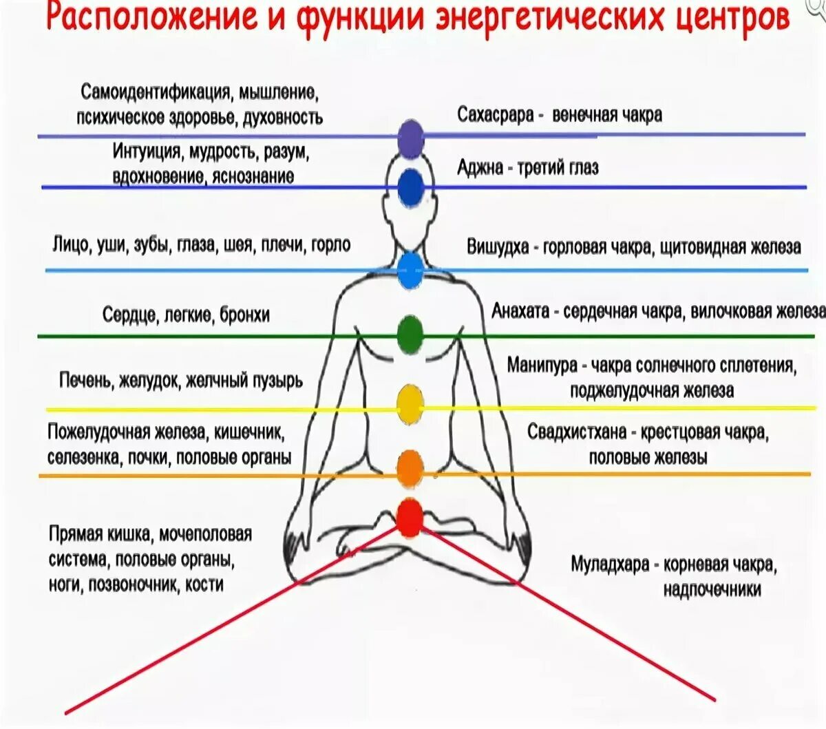 Строение чакры человека. Энергетические центры человека схема расположения. Чакры схема расположения. 7 Чакр человека описание. Чакры названия и расположение