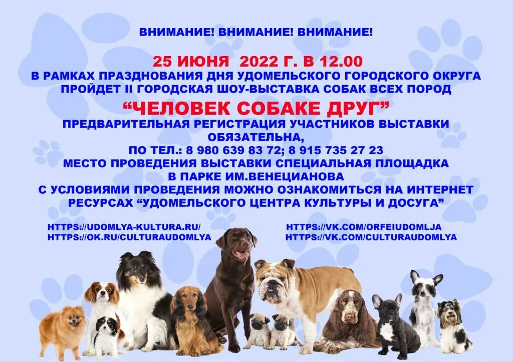 выставка людей собак