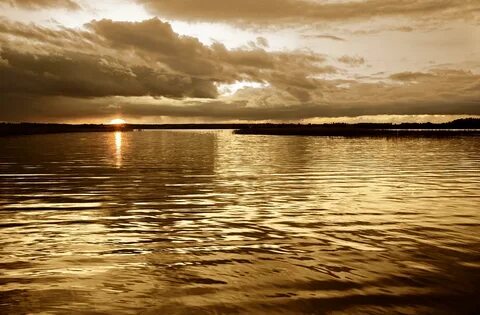 Gold waters