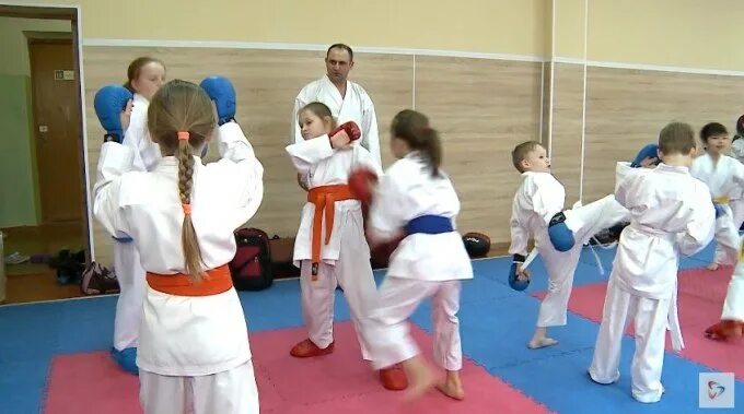 Каратэ череповец. Каратэ череповец. Исайчиков егор каратэ. Школа каратэ в вологде. Каратэ в череповце занятия.