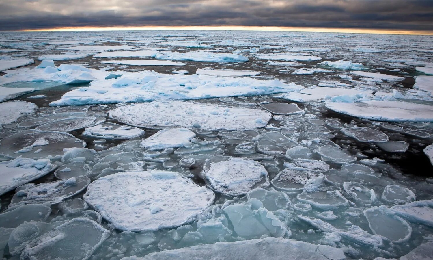 Блинчатый лед. Ледяной Покров Баренцева моря. Таяние льда. Лед растаял. Кусочки льда на реке