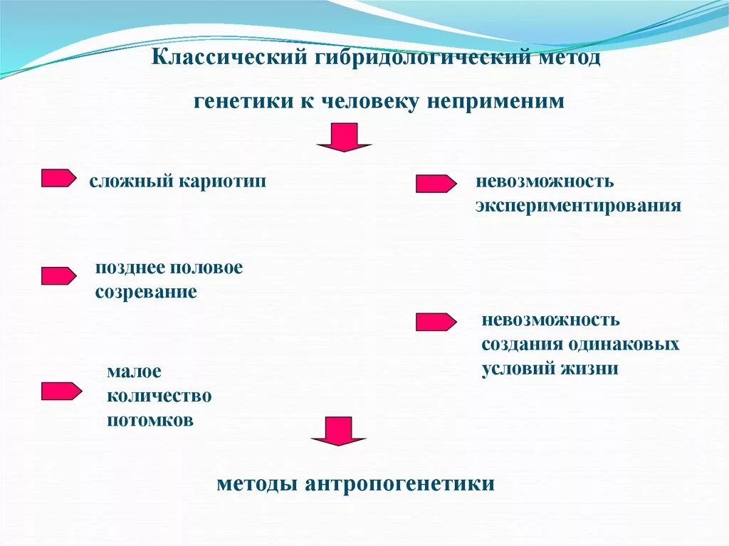 5 методов генетики человека. Генетический метод исследования генетики человека. Методы исследования генотипа человека. Методы исследования генетики человека таблица 10 класс. Методы наследственности человека.