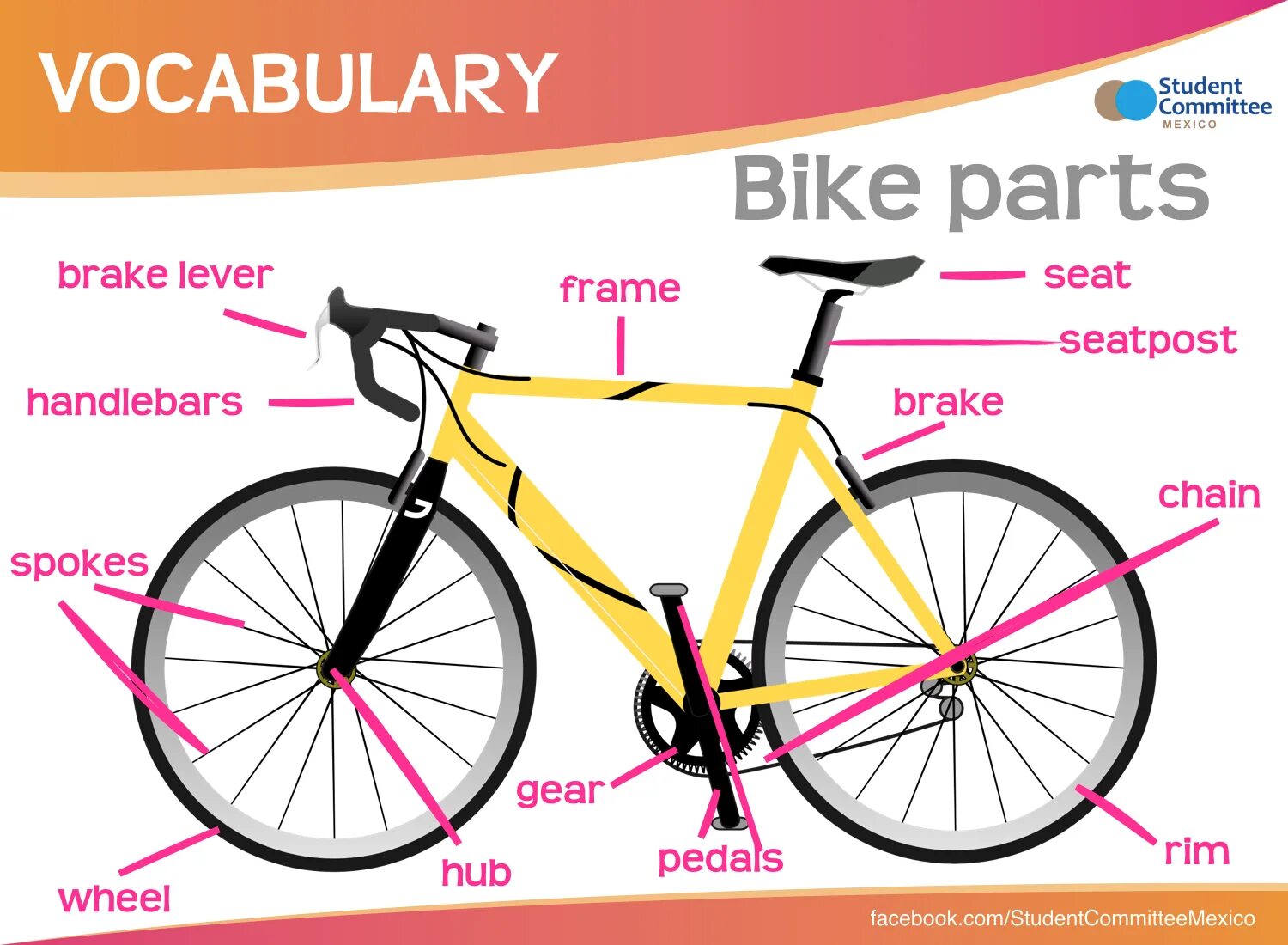 Part of bicycle. Part of bicycle. Ride a bike перевод на русский. Bicycle parts in english. Parts of a bike in english.