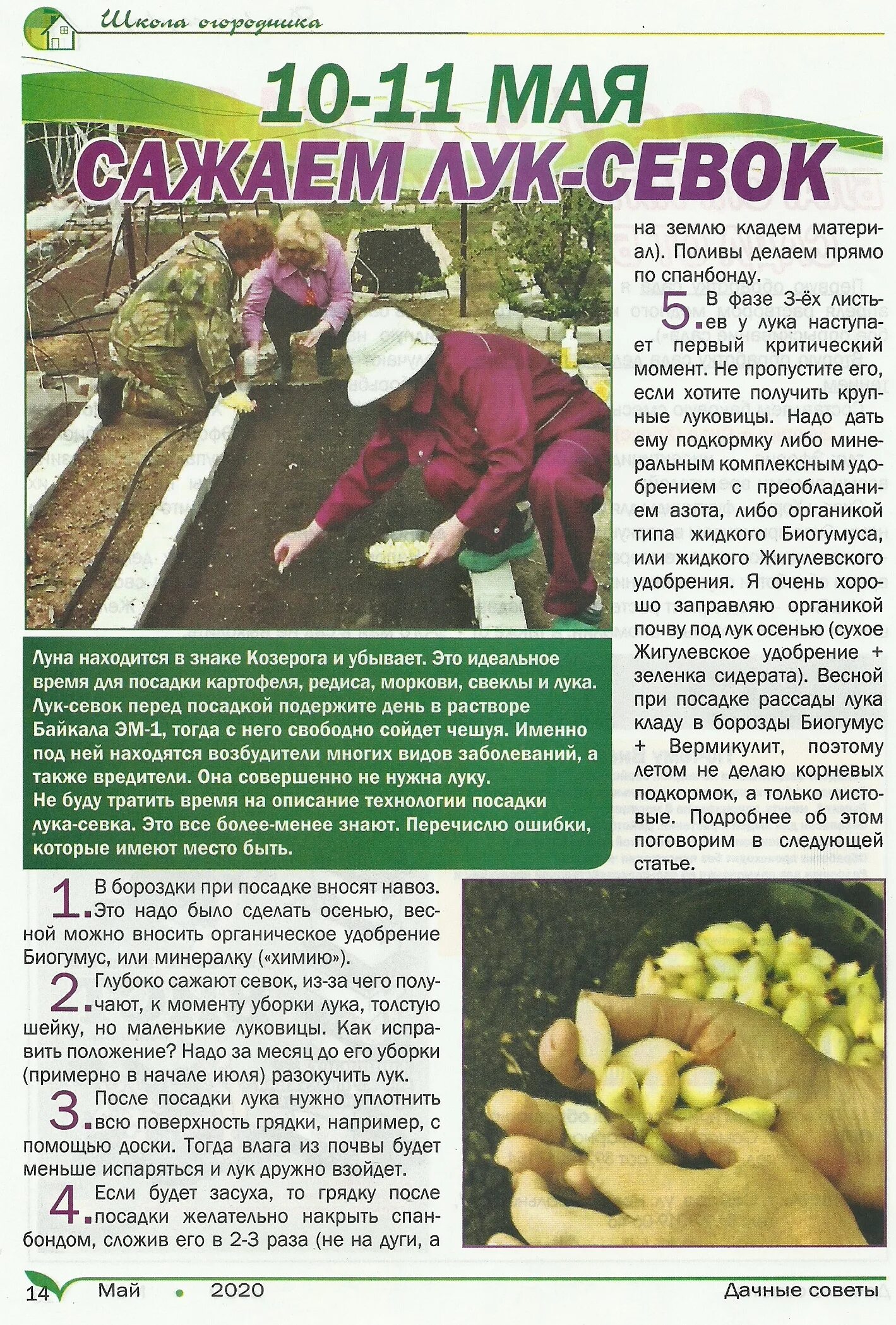 дачные советы в картинках. дачные советы с галиной. дачные советы с галиной старосельцевой. дачные истории с галиной старосельцевой. дачные советы со старосельцевой последний выпуск.