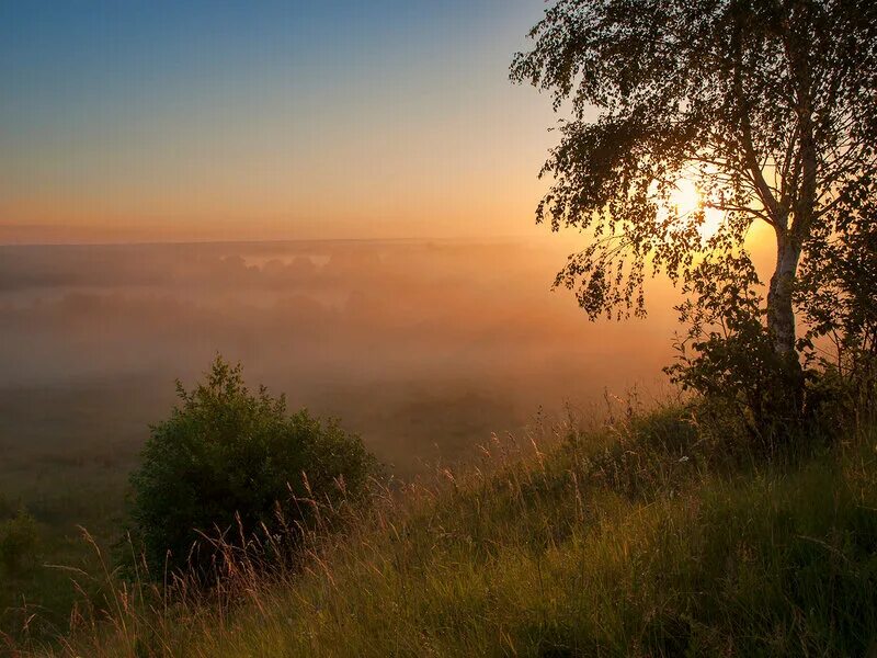 Рассвет. Природа рассвет. Летний вечер.