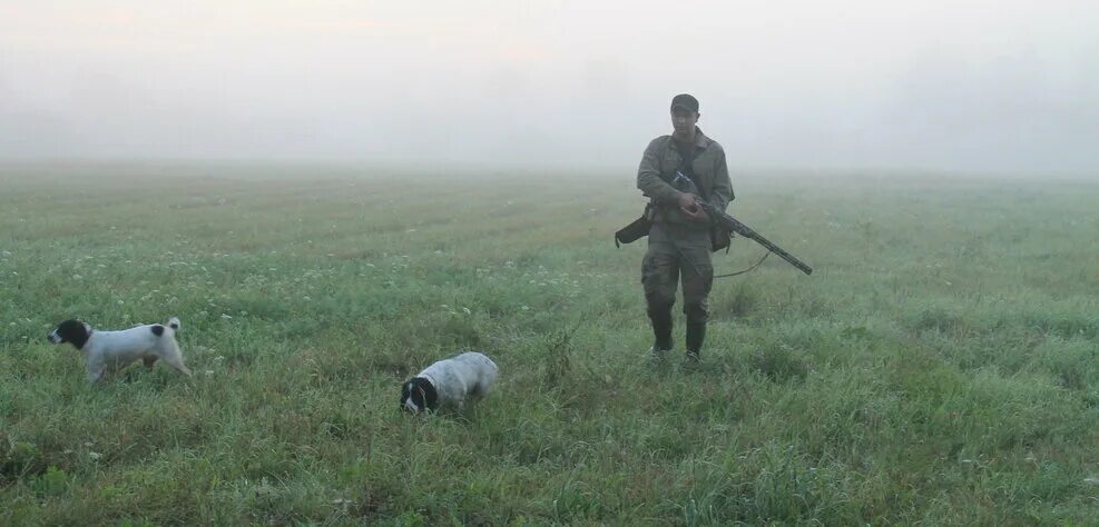 Видео жизнь охотника. Охота на дупеля с легавой. Охота на дупеля во Владимирской области. Охота на дупеля с легавой выстрел. Серебряно Прудский район охота на дупеля.