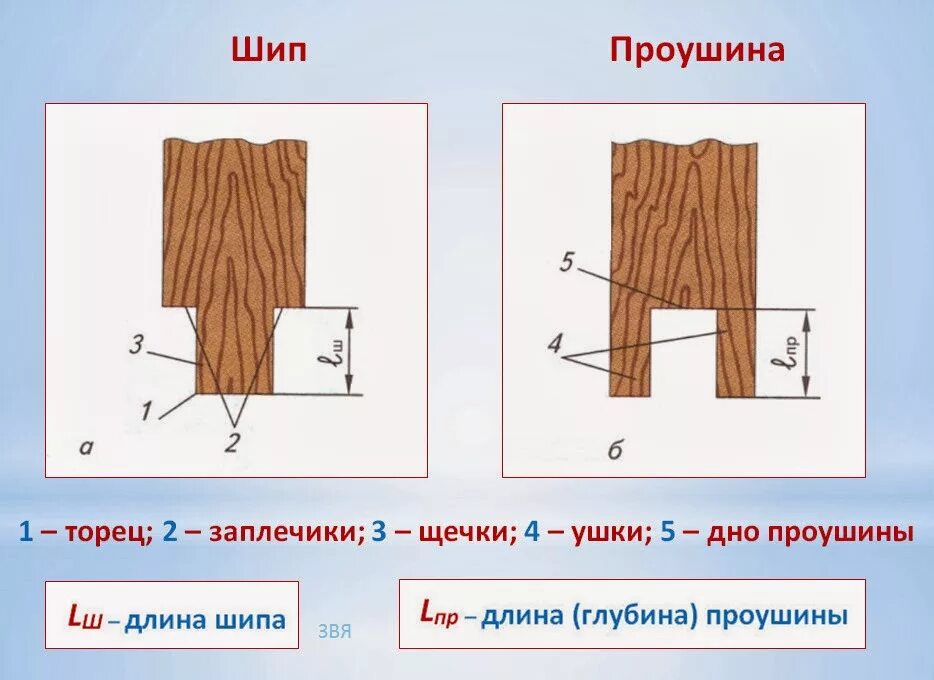 Шиповые соединения 7 класс. Чертеж столярных шиповых соединений. Шиповые столярные соединения гнездо. Шиповые столярные соединения 7 класс технология. Элементы шипового соединения.